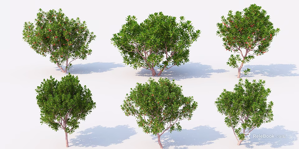 Multiple Green Leaf Arbors With Slender Trunks And Natural Shadows 3d model 