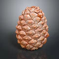 Orange Brown Pine Cone With Scaly Texture Isolated On Dark Background 3d model