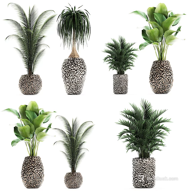 Various Bonsai Potted Plants With Palm Green Leaves And Decorative Textured Pots 3d model 