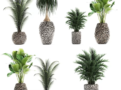 Various Bonsai Potted Plants With Palm Green Leaves And Decorative Textured Pots 3d model