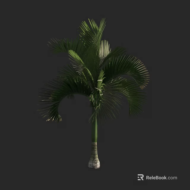 Tropical Palm Tree with Lush Green Fronds and Tall Straight Trunk 3d model 