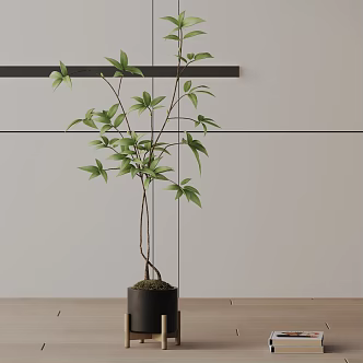 Modern Potted Plant 3d model