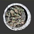 Succulent Plant Growing In Rustic Textured Stone Flower Pot With Green Pink Leaves