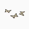 insect butterfly 3d model