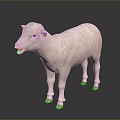 White Sheep Standing On Dark Background With Open Mouth Soft Reflection And Smooth Fur 3d model