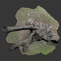 Natural Wood Tree Stump And Stone Base Decorative Art With Textured Design