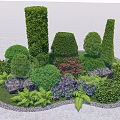 Shaped Garden Shrubs With Various Forms Rocks Purple Flowers And Ferns