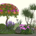 Garden Ornamental Scene With Colorful Flowering Tree Palm Trees Purple Plants Pink Blooms And Stones