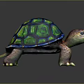 Turtle Cartoon Turtle Snapping Turtle Chickbill Turtle Reptile Cold Blooded Animal Reptile Class 3d model