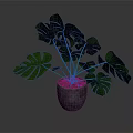 Monstera Plant With Large Green Split Leaves In Gray Concrete Pot For Indoor Decoration