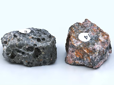 Porous Gray Stone And Red Brown Stone With Wood Samples And Numbered Tags 3d model