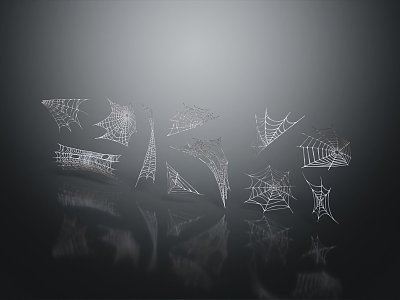 Modern Spider Web Items 3d model