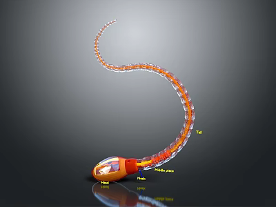 Flexible Medical Device With Camera Probe For Minimally Invasive Surgical Procedures 3d model