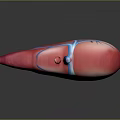 3D Rendered Human Liver Anatomy with Red Tissue Blue Blood Vessels and Gallbladder
