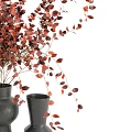 Two Modern Black Vases With Red Foliage Arrangement For Home Decor
