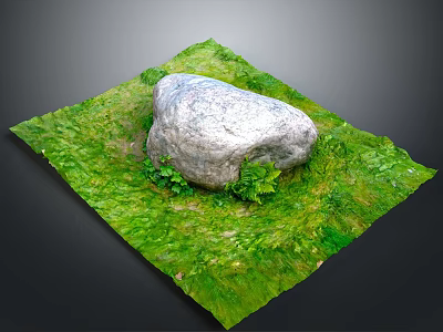 Natural Outdoor Scene With Large Rock On Green Grass And Small Plants 3d model