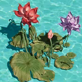 Aquatic Plants With Red Purple Lotus Flowers Buds And Green Lily Pads On Water Surface