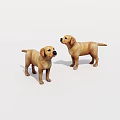 Two Cute Yellow Labrador Puppies Standing On White Background 3d model