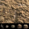 Blooming Flowers and Seasonal Grass Changes in Spring and Summer Scenery