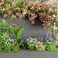 Lush Vines With Pink Flowers And Green Leaves Decorating Outdoor Garden Wall