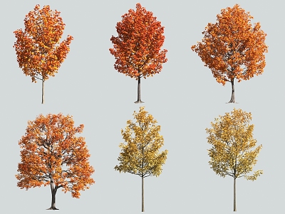 tree yellow leaf tree red leaf tree autumn tree 3d model