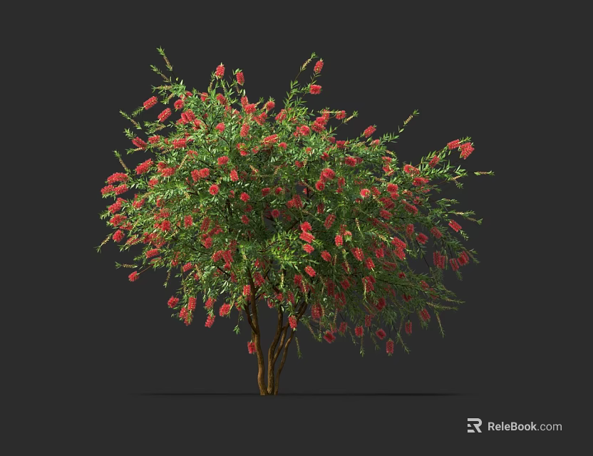 Green Leafy Bush With Red Flowers And Brown Trunk Isolated On Dark Background 3d model 