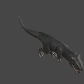 Realistic Standing Tyrannosaurus Rex Dinosaur Model With Open Mouth Dark Background