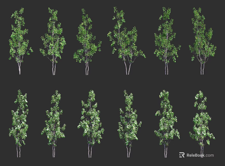 Various Green Trees With Different Shapes For Landscape Garden Design 3d model