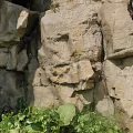 Natural Rockery Stones With Rough Surface And Green Foliage Below