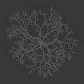 Leafless Tree With Straight Trunk Spreading Branches Against Black Background Human Silhouette For Size Comparison 3d model