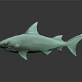 Turquoise 3D Shark Model With Smooth Surface On Black Reflective Base