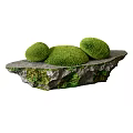 Bonsai Pot Plant with Round Moss Balls on Natural Stone Slab Decor