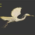 White Low Poly Style Egret Decorative Sculpture For Modern Home Furniture