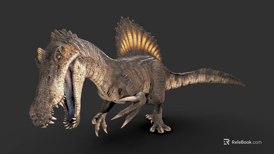 Fierce Spinosaurus Dinosaur 3D Render With Open Mouth Sharp Teeth Sail And Claws 3d model 
