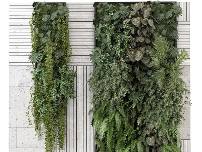 Indoor Living Plant Wall With Diverse Foliage And Lush Green Hanging Plants 3d model