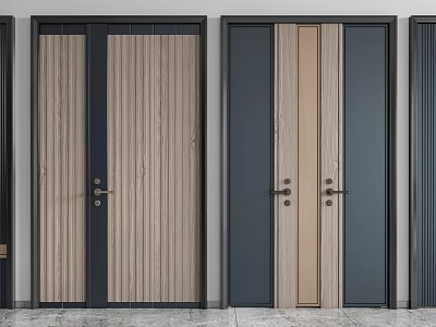 Modern Contemporary Double Door Design With Wood Grain Panel And Black Frame 3d model
