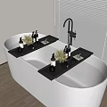 Modern Bathroom Accessories with Bathtub Black Tray Bottles and Green Plants