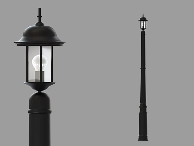 Traditional Black Outdoor Street Lamp With Transparent Glass Shade And Tall Pole Design 3d model