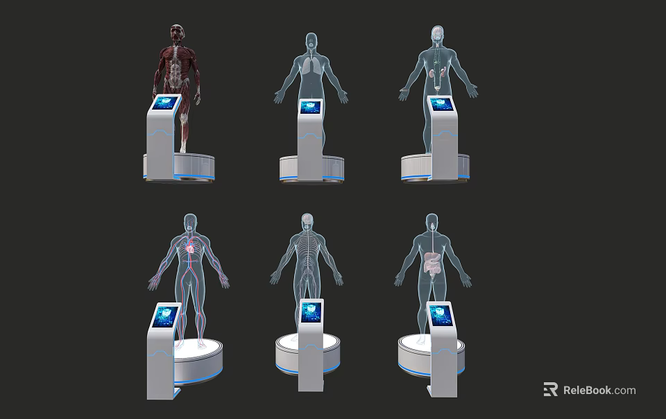 Interactive Medical Anatomical Display Devices With Digital Screens And Human Body Models 3d model 