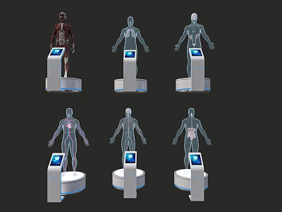Interactive Medical Anatomical Display Devices With Digital Screens And Human Body Models 3d model