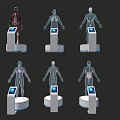 Interactive Medical Anatomical Display Devices With Digital Screens And Human Body Models