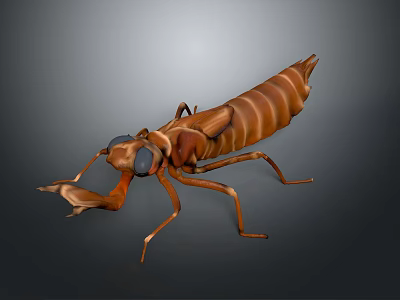 Detailed 3D Rendered Brown Striped Mantis Insect on Dark Background 3d model