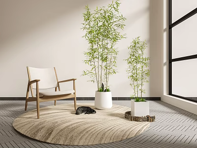 Bamboo Plants in White Pots with Wooden Chair Round Rug Black Cat Near Large Window 3d model