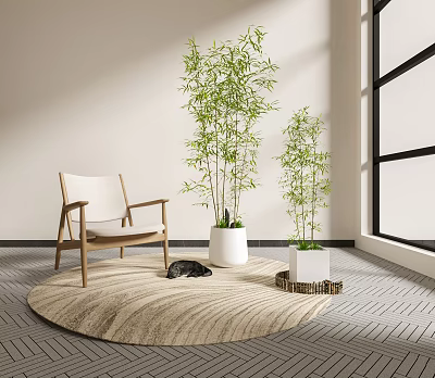 Bamboo Plants in White Pots with Wooden Chair Round Rug Black Cat Near Large Window 3d model