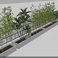 Bamboo Plants In Rectangular Planters With Palm Trees And Outdoor Railing 3d model
