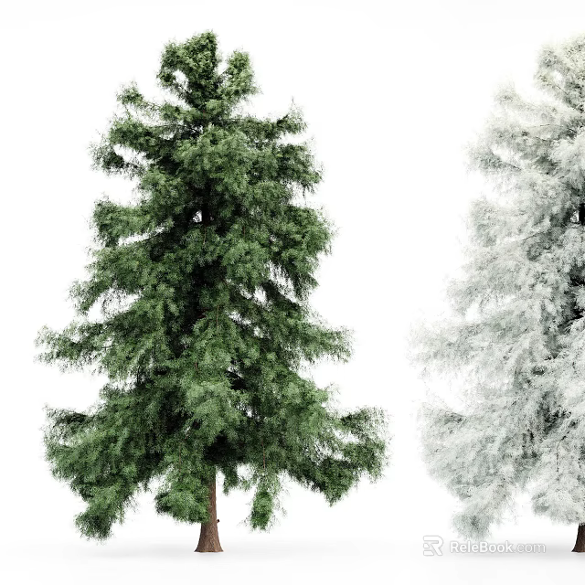 Green Evergreen Trees With Snow Covered Branches And Lush Foliage In White Background 3d model 