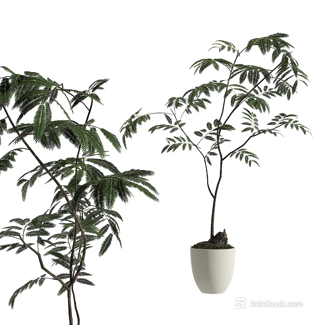 Potted Bonsai Plant with Lush Green Leaves and White Ceramic Pot Natural Branch Design 3d model 