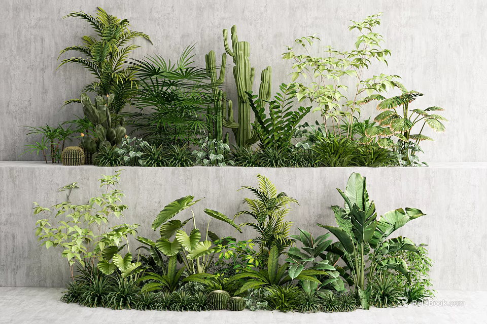 Diverse Green Plants Including Ferns Cacti And Palms Arranged In Layers For Indoor Decor 3d model 
