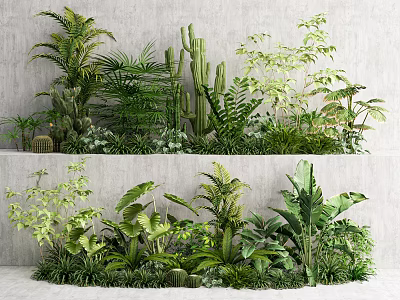 Diverse Green Plants Including Ferns Cacti And Palms Arranged In Layers For Indoor Decor 3d model