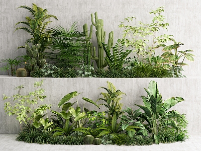 modern plant group plant combination garden plant cluster tropical plant combination landscape plant model